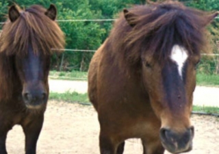 Monter a cheval dans le 13